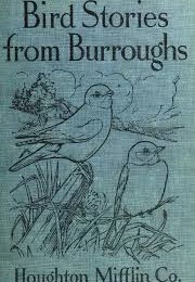 Bird Stories From Burroughs Sketches of Bird Life Taken From the Works of John Burroughs (Burroughs, John)
