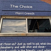 Wall Poems of Charlotte