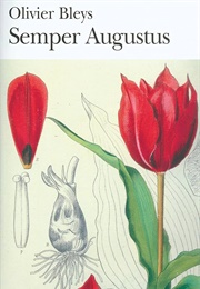 Semper Augustus (Oliver Bleys)