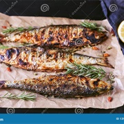 Grilled Shad