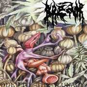 Bredor - Ode to the Lunacy