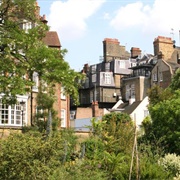 Chelsea Physic Garden