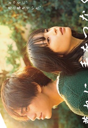 Hold Hands at Dusk (2023)