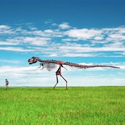 Skeleton Man Walking Skeleton Dinosaur