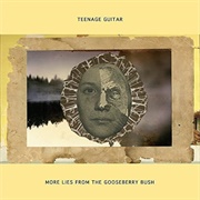 Teenage Guitar - More Lies From the Gooseberry Bush