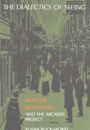The Dialectics of Seeing: Walter Benjamin and the Arcades Project (Susan Buck-Morss)