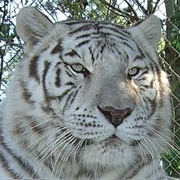 St. Augustine Wild Reserve