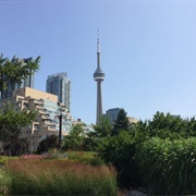 Toronto Music Garden