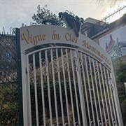Vigne Du Clos Montmartre