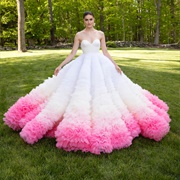 Ombre Wedding Dress