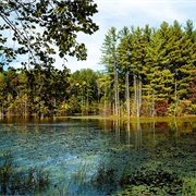Hoosier National Forest, Indiana