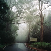 Macquarie Pass National Park