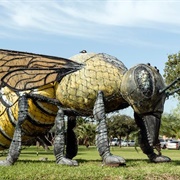 'World's Largest Killer Bee'