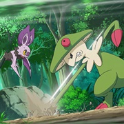 905. a Windswept Encounter!