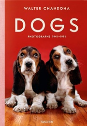 Dogs: Photographs 1941-91 (Walter Chandoha)