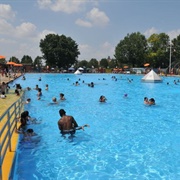 Red Hook Play Center