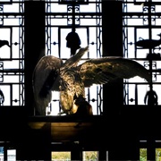 Brooklyn Daily Eagle's Eagle