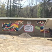 American Museum of the House Cat