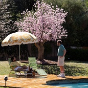 The Shrink Next Door: "The Family Tree" (S1,E5)