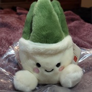 Unknown Korean Plant #2