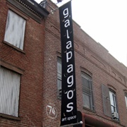 Galapagos Art Space