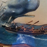 The Whaling Museum