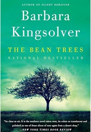 The Bean Trees (Barbara Kingsolver)