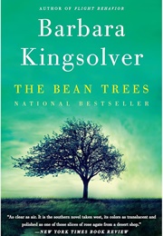 The Bean Trees (Barbara Kingsolver)