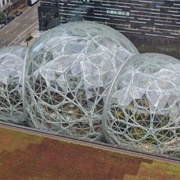Amazon Spheres