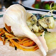 Channeled Whelk (Busycotypus Canaliculatus)