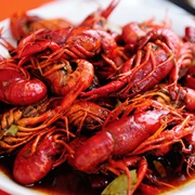 Red Swamp Crayfish (Procambarus Clarkii)