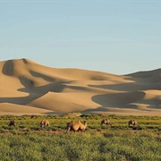Gobi Desert, Mongolia/China