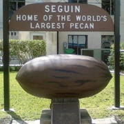 World's Largest Pecan