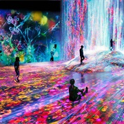 Teamlab Borderless, Japan