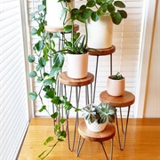 Plant Stand