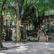 Los Jardines De La Tropical