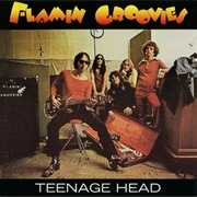High Flyin' Baby - Flamin' Groovies