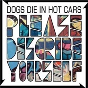 Dogs Die in Hot Cars - Please Describe Yourself