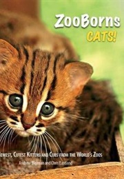 Zooborns Cats!: The Newest, Cutest Kittens and Cubs From the World's Zoos (Andrew Bleiman)