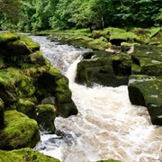 Bolton Strid