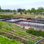 International Water Lily Garden