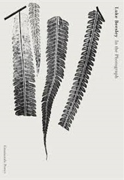 In the Photograph (Luke Beesley)