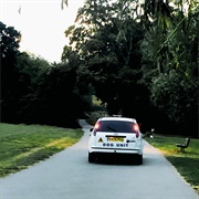 Dog Unit - Turn Right and Right Again