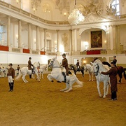 Spanish Riding School, Austria