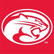 Houston Cougars