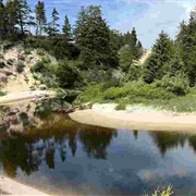 Hike John Dellenback Dunes Trail, Oregon