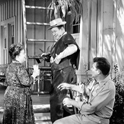 Aunt Bee's Brief Encounter