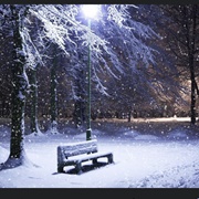 Snowy Night
