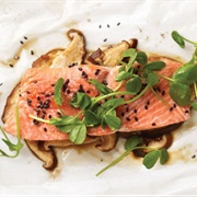 Salmon Gum Mushroom (Phlebopus Marginatus)