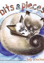 Bits & Pieces (Judy Schachner)